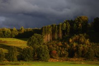 /album/fotogalerie-2016/dsc-0131-jpg/